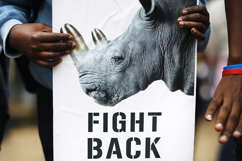 Rhino horn sells on the black market for as much as US$35,000 per pound. Photo: EPA