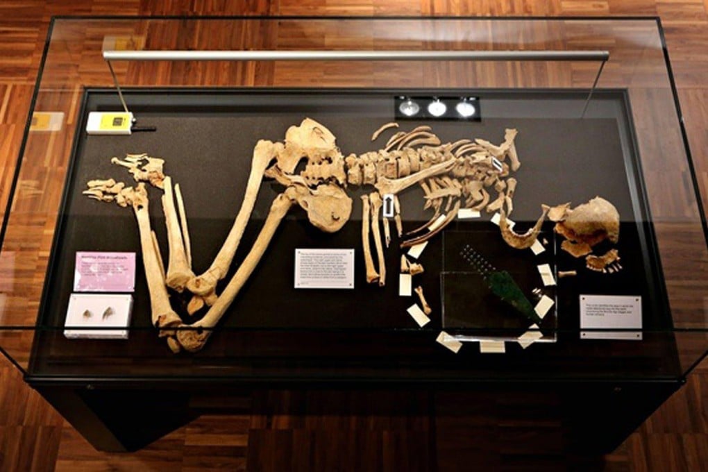 Racton Man at the Novium museum in England.Photo: SCMP Pictures