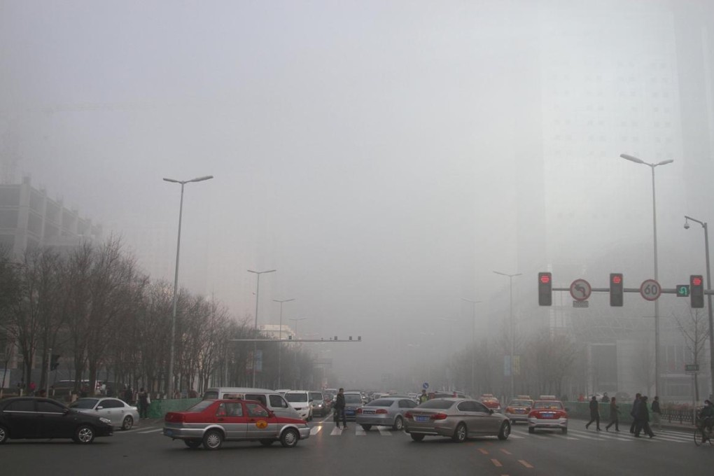 Political will needed to beat pollution