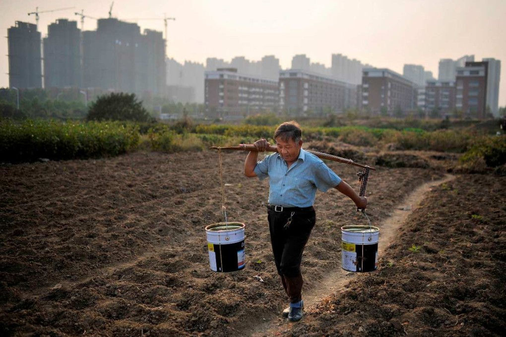 Chinese leaders pledge to modernise agriculture and raise rural incomes