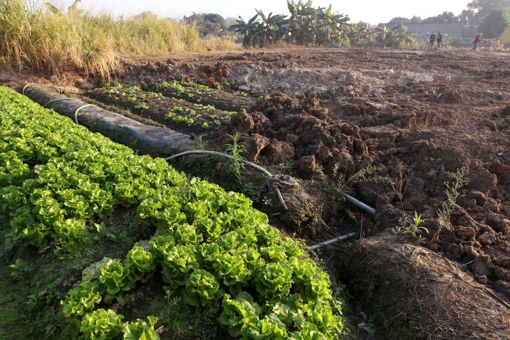 Plans by the city to set up its first agricultural park by acquiring about 80 hectares of private farmland at an estimated cost of HK$7 billion were revealed yesterday. Photo: Sam Tsang