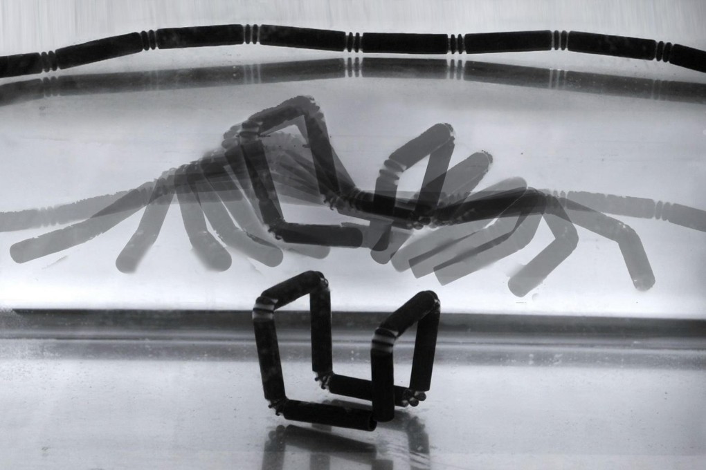 Stages of 4D printed object's reshaping. Photo: SCMP Pictures