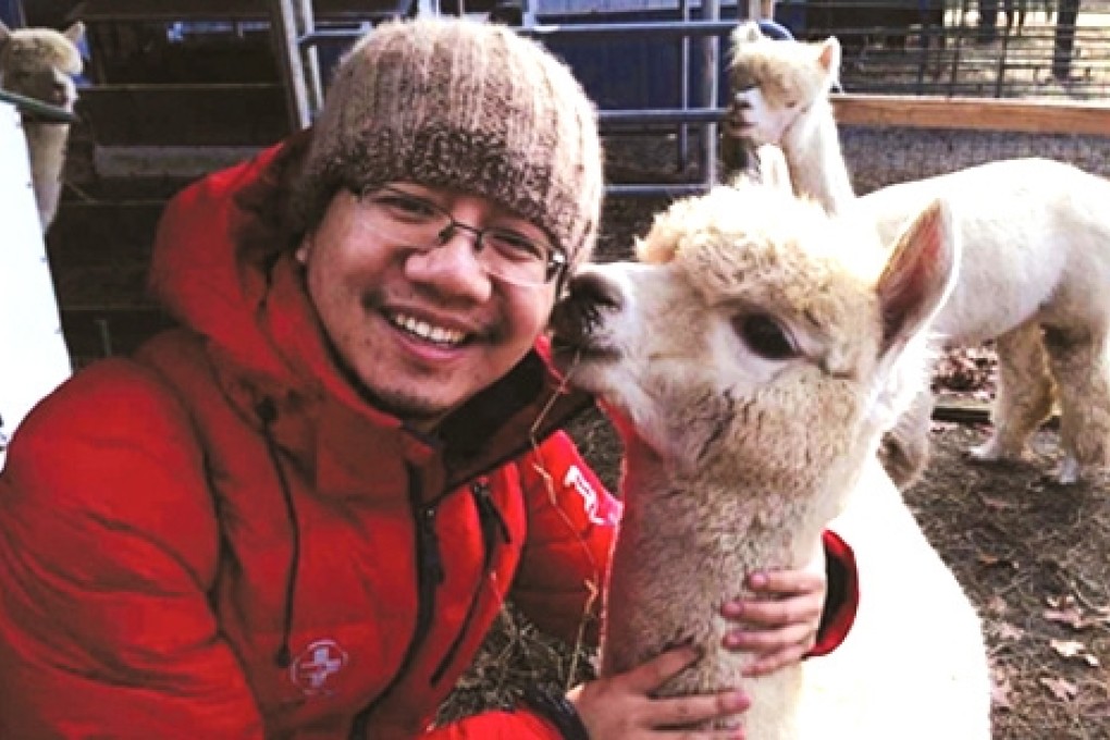Qin Kou wants to run his alpaca empire from his home town, Wuhan. Photo: SCMP Pictures