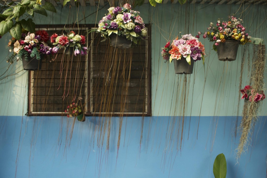 Photos: Narina Exelby