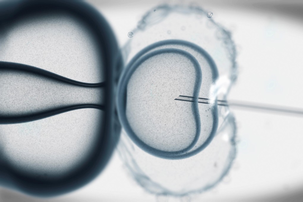 Hong Kong ban on IVF for unwed is discriminatory, say critics