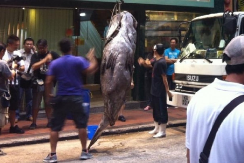 A 700lb grouper was sold to a restaurant in Jordan after being caught in the South China Sea in 2012. Photo: Samantha Reid