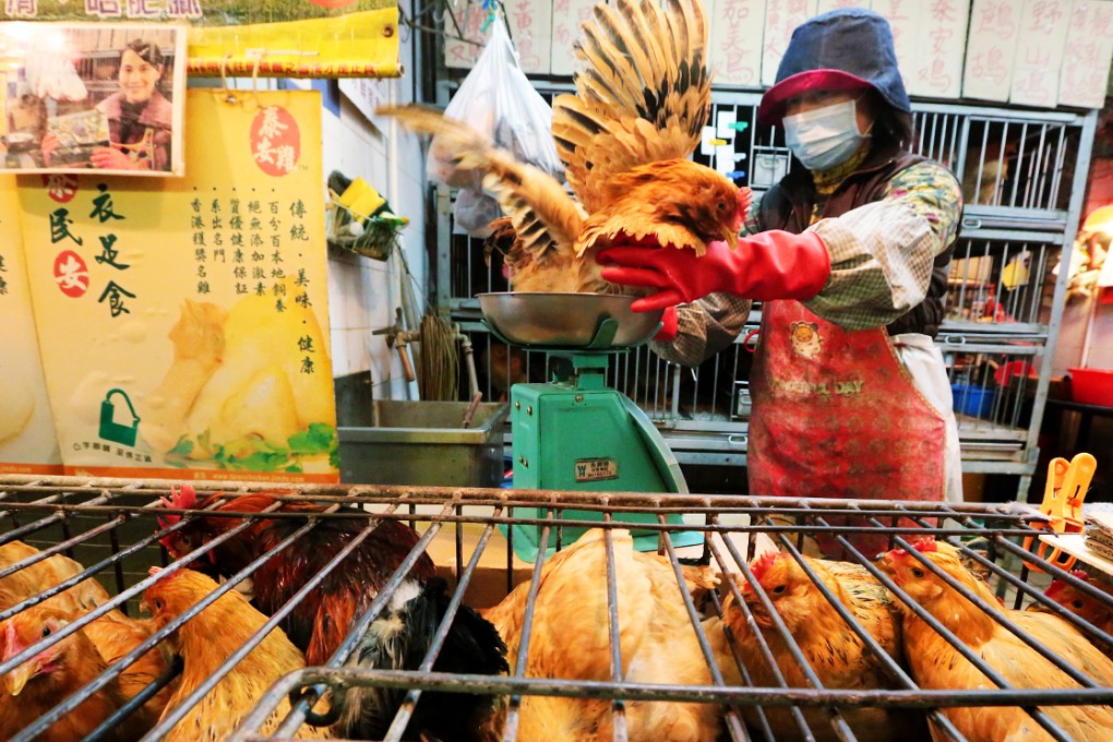 Live chickens return to a market in Kowloon City for the first time this year, to the delight of shoppers. Photo: Felix Wong