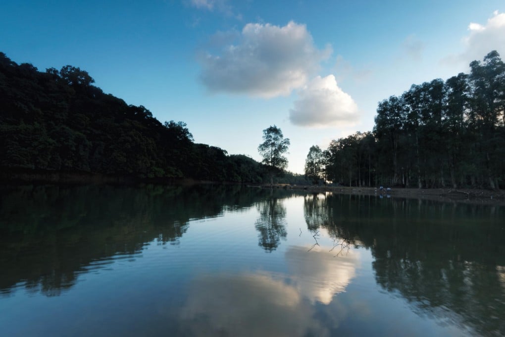 Early morning at Shing Mun River. Photos: Martin Williams