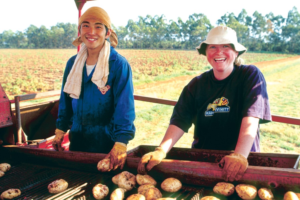 A Hong Kong traveller in Australia on working holiday programme. Photo: SCMP