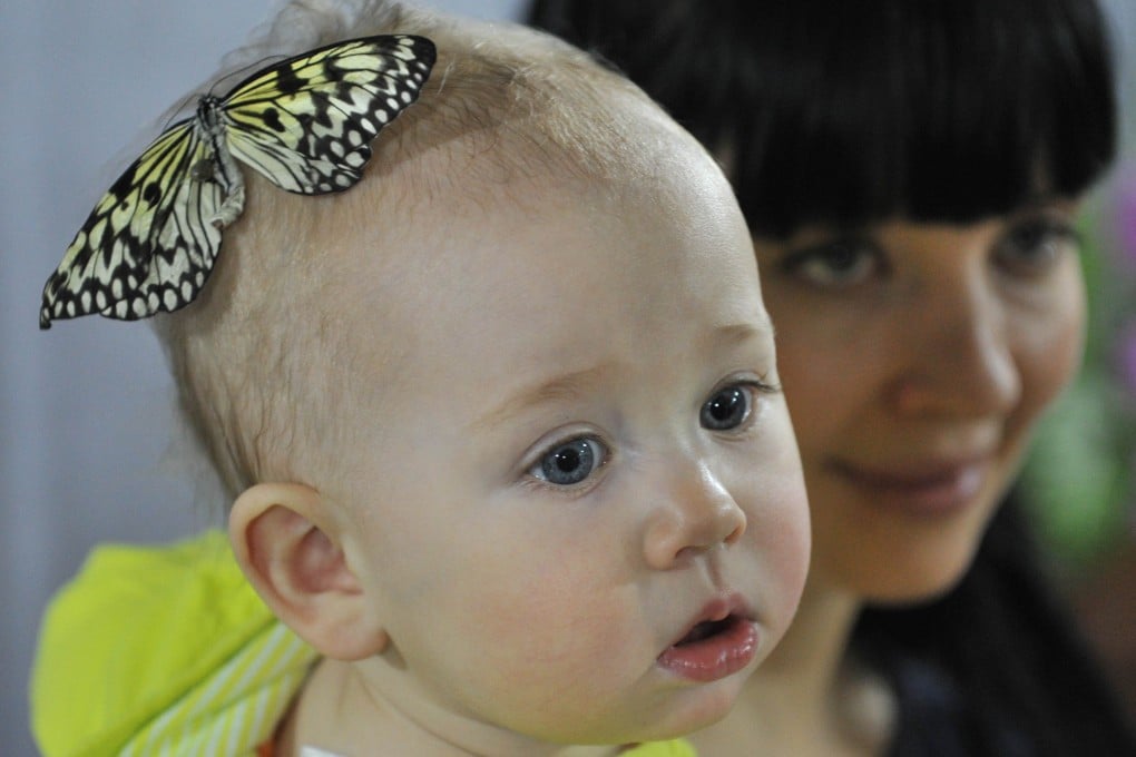 A butterfly lands on the head of a baby at an exhibition in Kyrgyzstan. Babies born today are expected to live longer than their parents. Photo: AFP