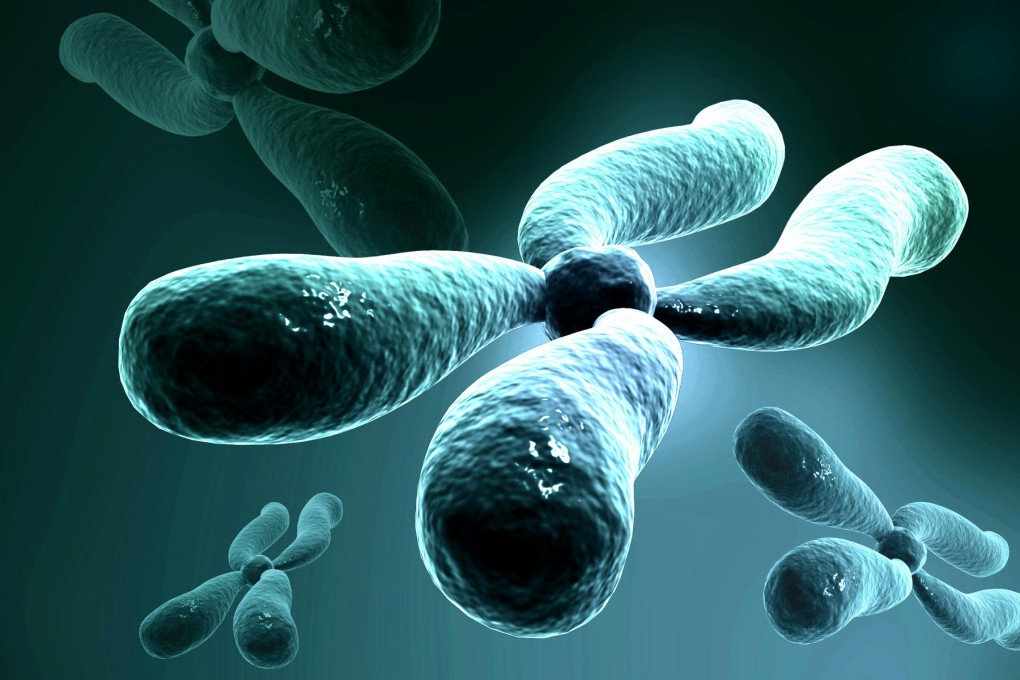 Illustration of a chromosome