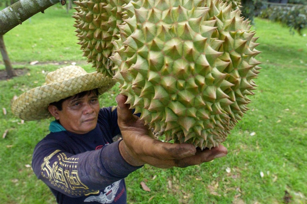 Global demand for Southeast Asia's exports of durians and rice, particularly from China, has been growing. Photo: AFP