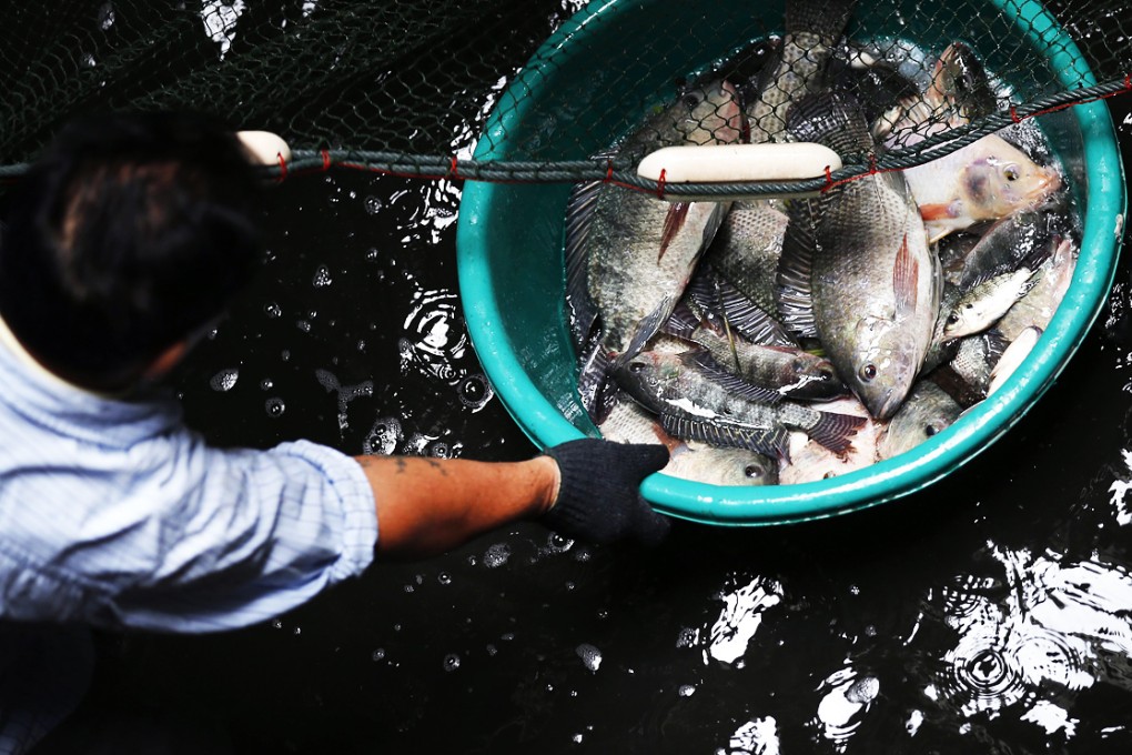 Thailand is the world's third-largest seafood exporter and its fishing industry employs more than 300,000 people, many of them illegal migrant workers who are often subject to ill-treatment. Photo: EPA