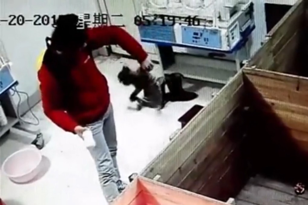 Zoo keeper expelled after abuse of tiger cub is exposed in online video