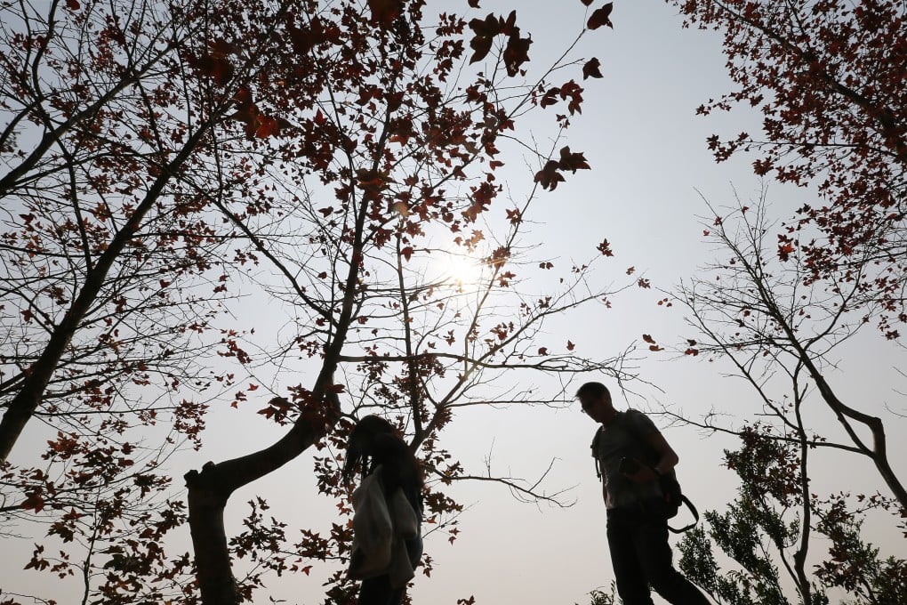 When considering development plans, underpricing the ecological value of the country parks will distort our assessment. Photo: K. Y. Cheng