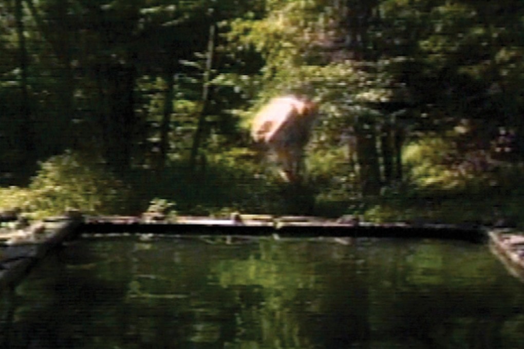 Bill Viola's The Reflecting Pool comprises a series of videos. It's part of the Art Institute of Chicago's film and video collection.