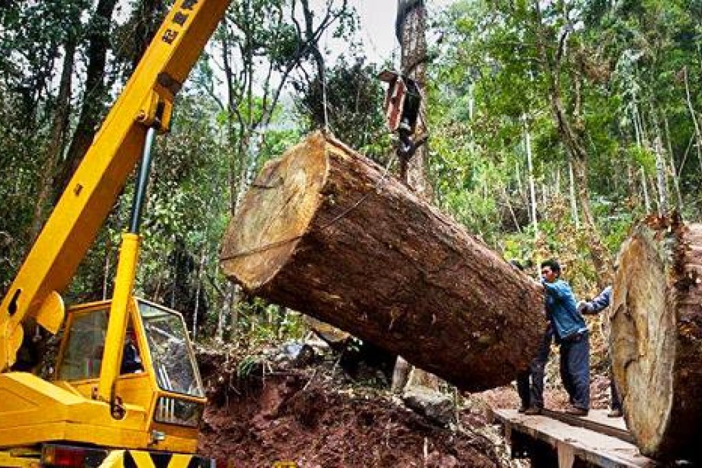 Yunnan logging firms say staff and millions of yuan worth of equipment were seized in raids on what they claim were legal operations in Kachin State. Photos: SCMP Pictures