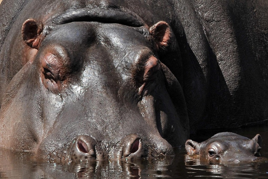 In new history book.