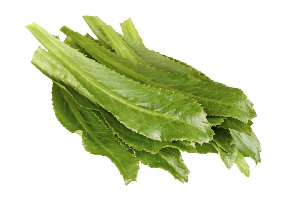 Sawtooth herb