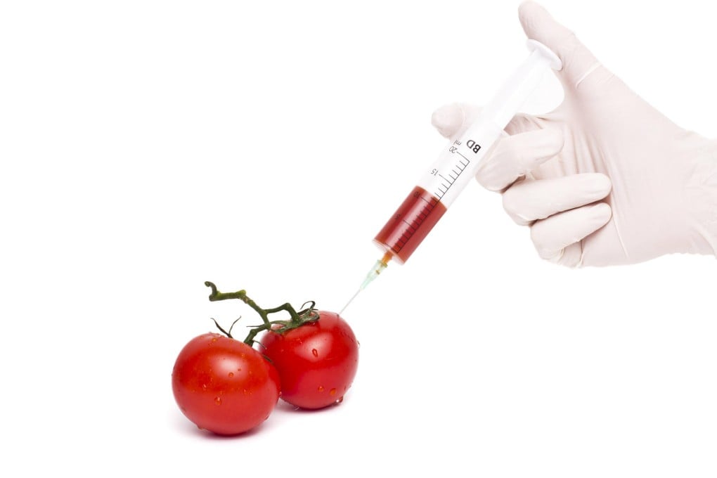 GM food risks should be considered individually