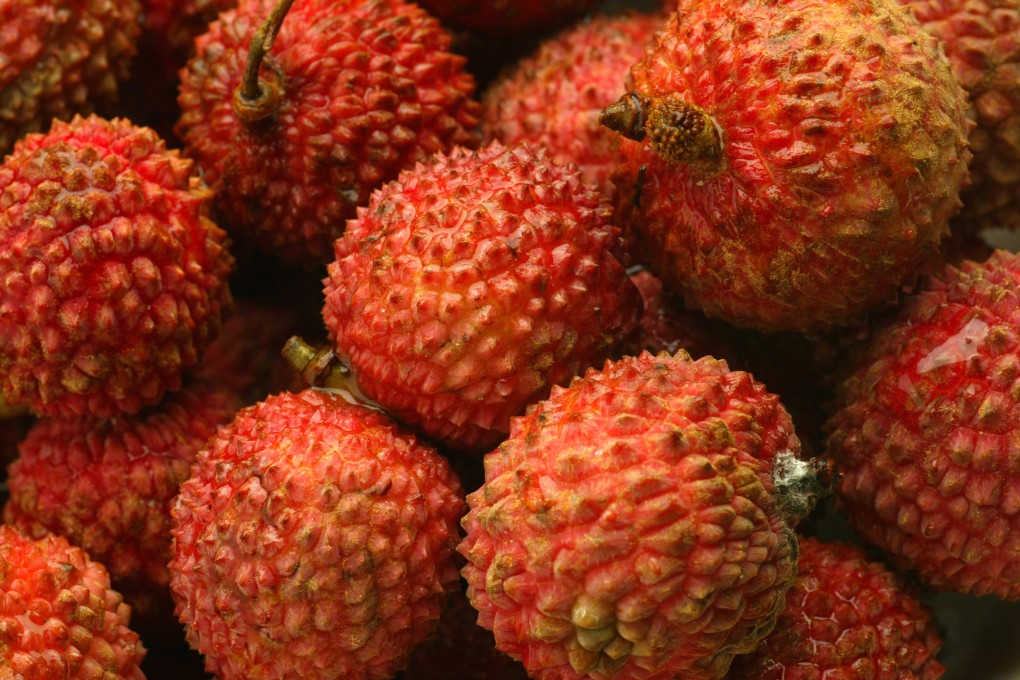 Dozens of children have died in India during the annual lychee harvest. Scientists are looking into links with a component of lychee seeds known to cause hypoglycemia. Photo: SCMP Picture