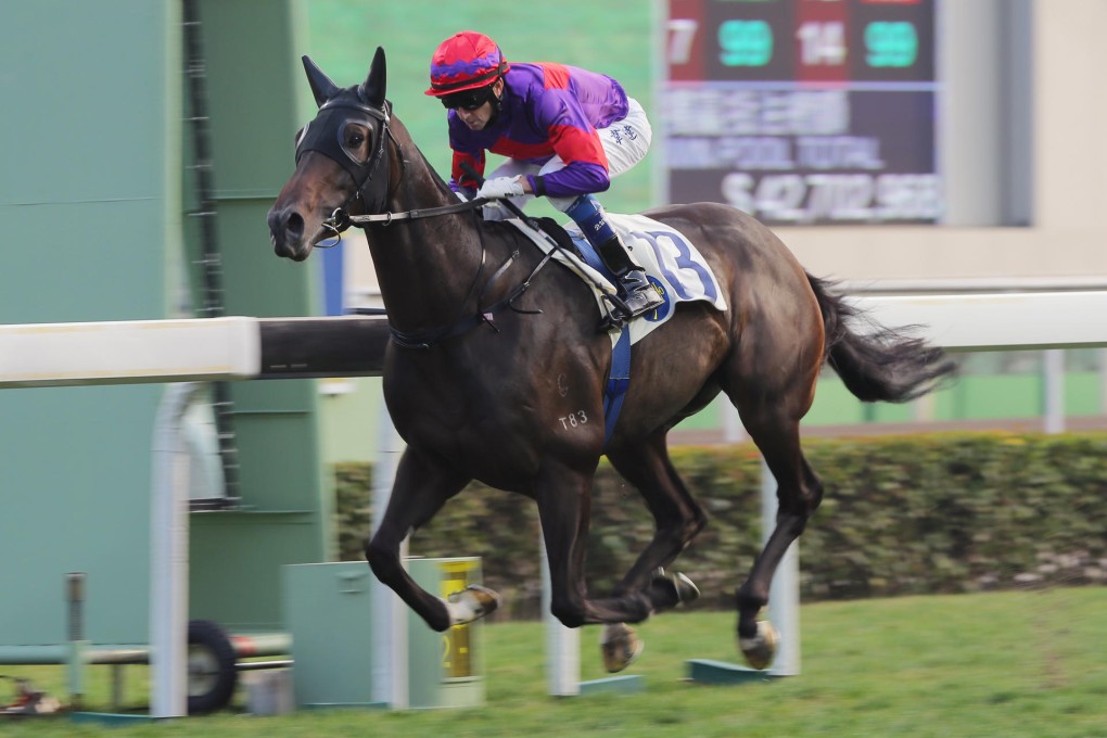 Douglas Whyte drives Sky Hero to the line for an effortless victory. Photos: Kenneth Chan