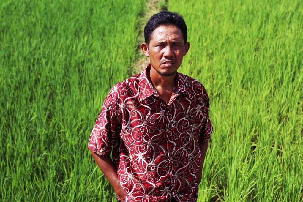 Rohmad Saputro, Erwiana's father, at his chilli farmer in Ngawi, Indonesia. Photo: Sam Tsang