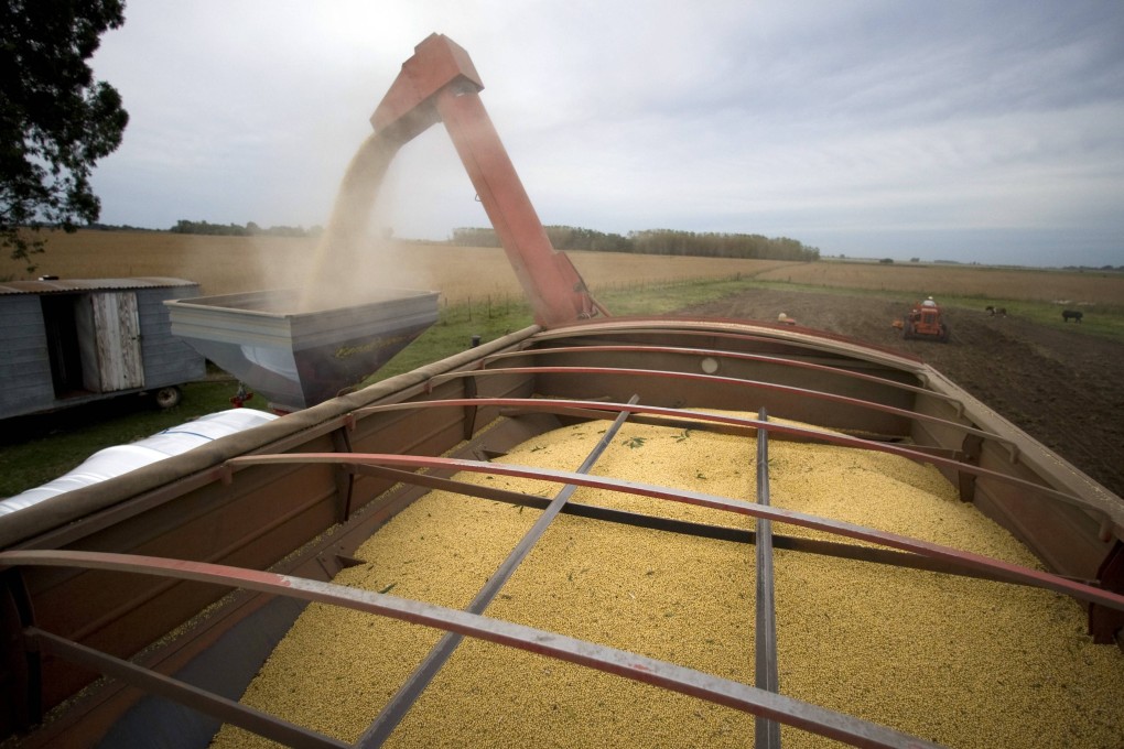 China imported 6.88 million tonnes of soyabean last month, below a record set in December but above the 5.9 million tonnes imported in January last year. Photo: Reuters