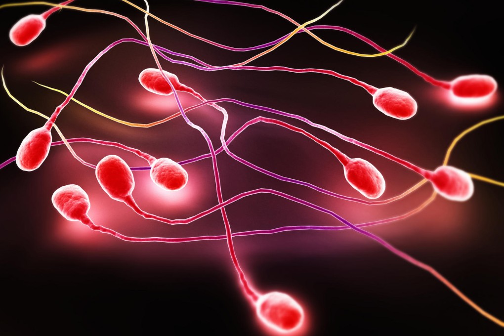 Stylized view of sperm. Higher levels of mutations were found in teenage sperm. Photo: SCMP