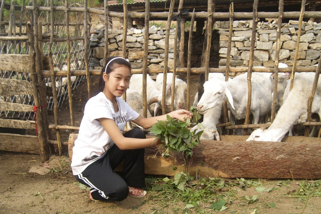 Li Qiang from Hebei can look forward to a brighter future thanks to the goats donated by Heifer International.