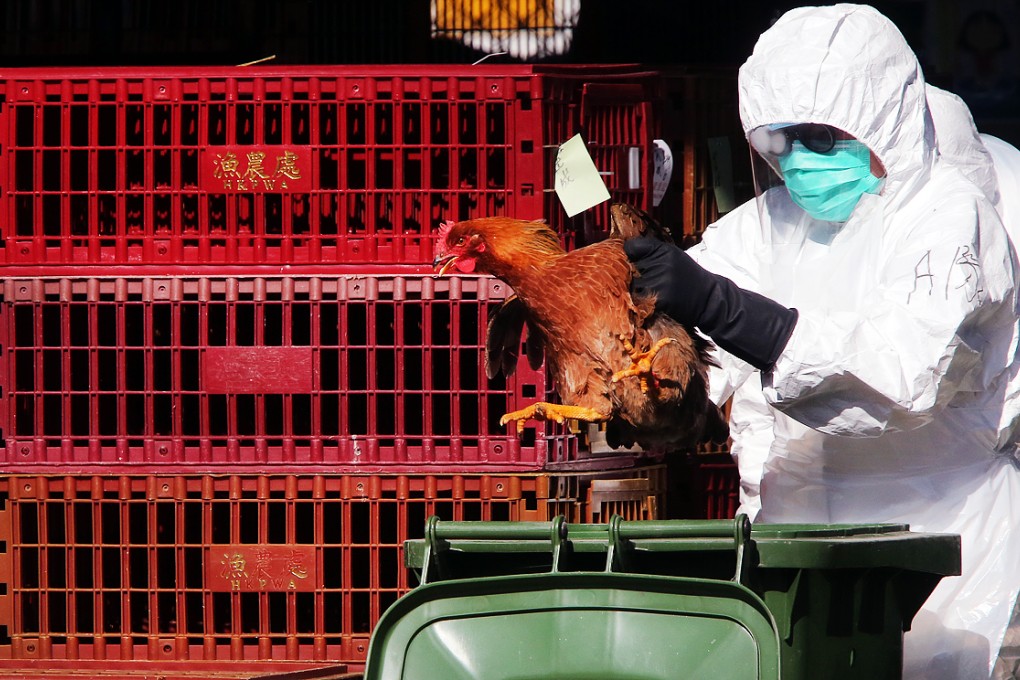 Experts fear seasonal flu could mix with bird flu amid a spike in cases on the mainland. Photo: Felix Wong