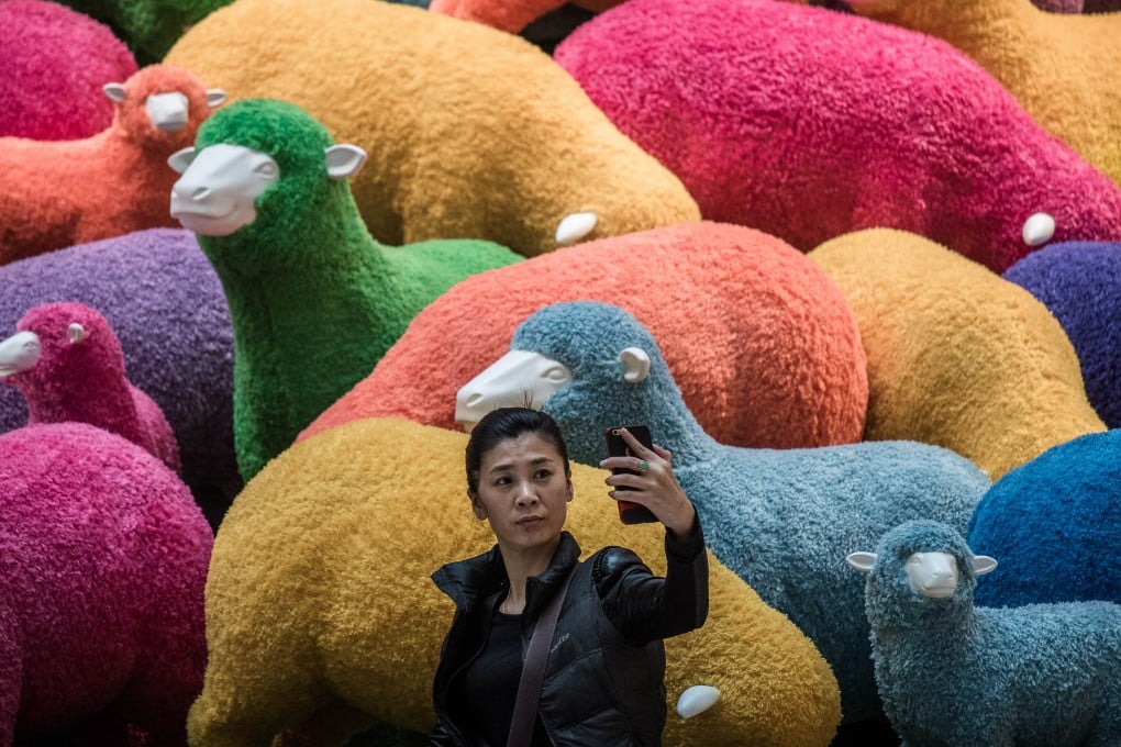 Hong Kong people may behave more like cats than sheep, going off in different directions. Photo: AFP
