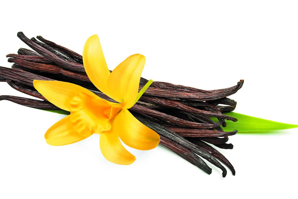 Nothing plain about the miraculous vanilla pod