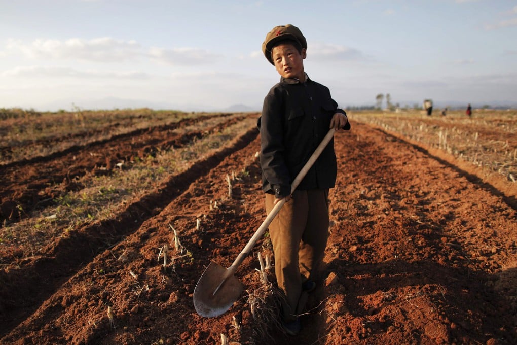 Economist Ri Ki Song said Pyongyang aimed to prod North Korean managers and farmers to "do business creatively, on their own initiative". Photo: Reuters