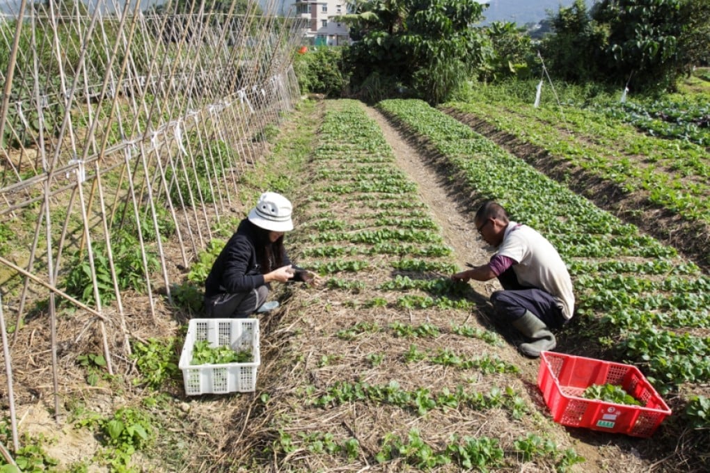 Farmers question plan for hi-tech agricultural park in Hong Kong