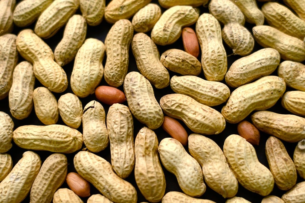 New study on peanut allergy has attracted international attention. Photo: AP