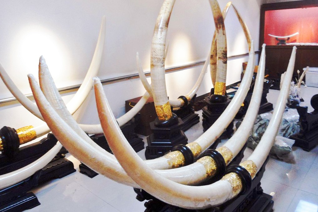 China's ivory import ban only the first step