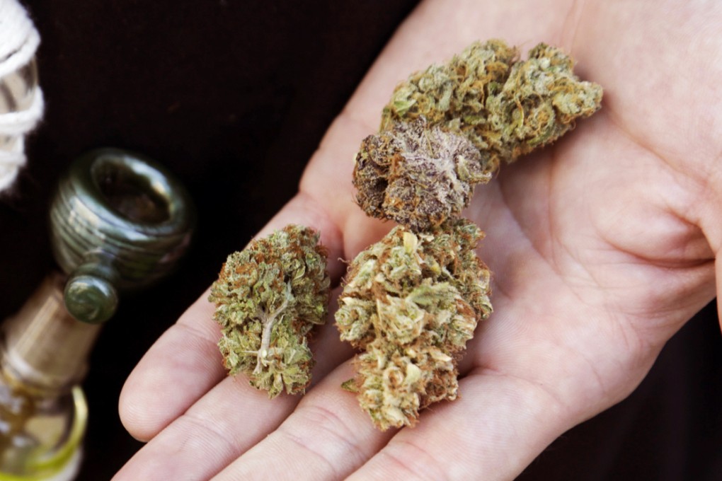 An attendee holds out several marijuana buds. Modella shot himself and left officials to sort out how much of his money came from growing marijuana and how much from maraschino cherries. Photo: Reuters