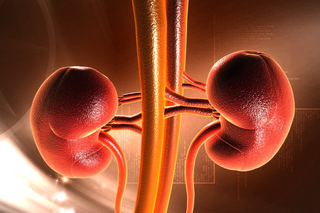 World Kidney Day highlights increase in renal problems and need for awareness