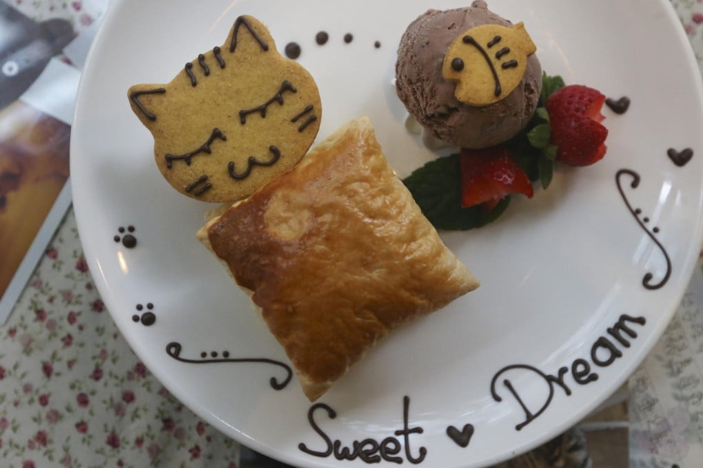 Puff pasty and chocolate ice cream at Cat Store.