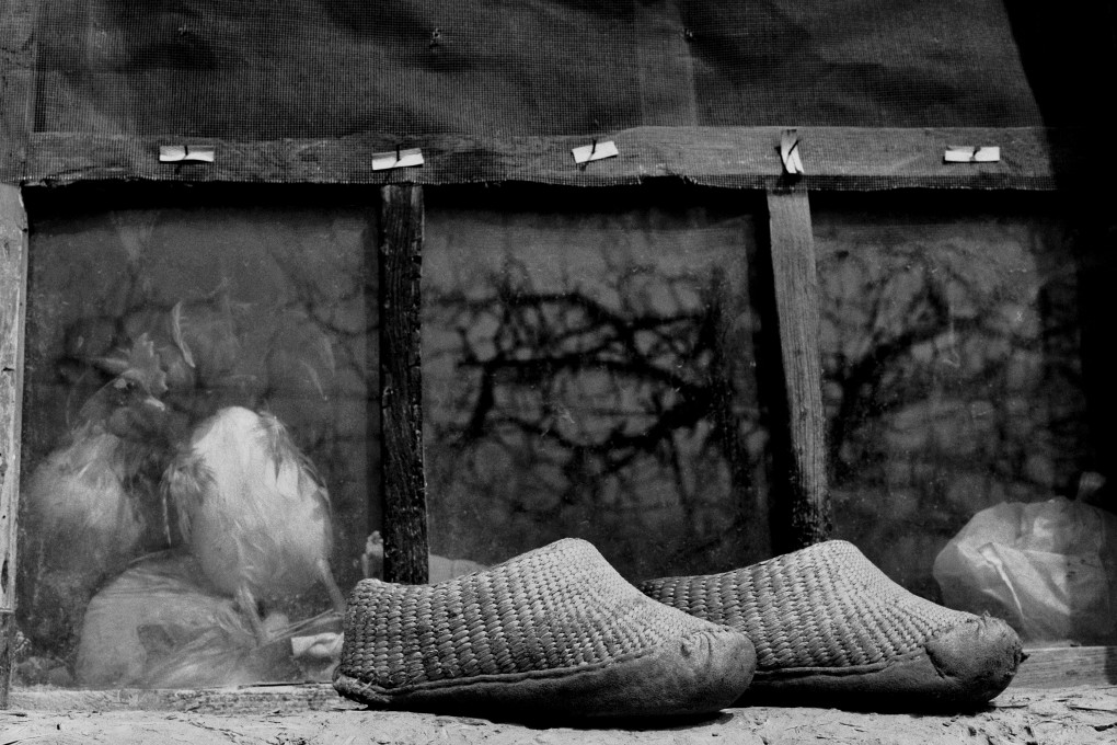 The last bound-feet women of China - in photographs