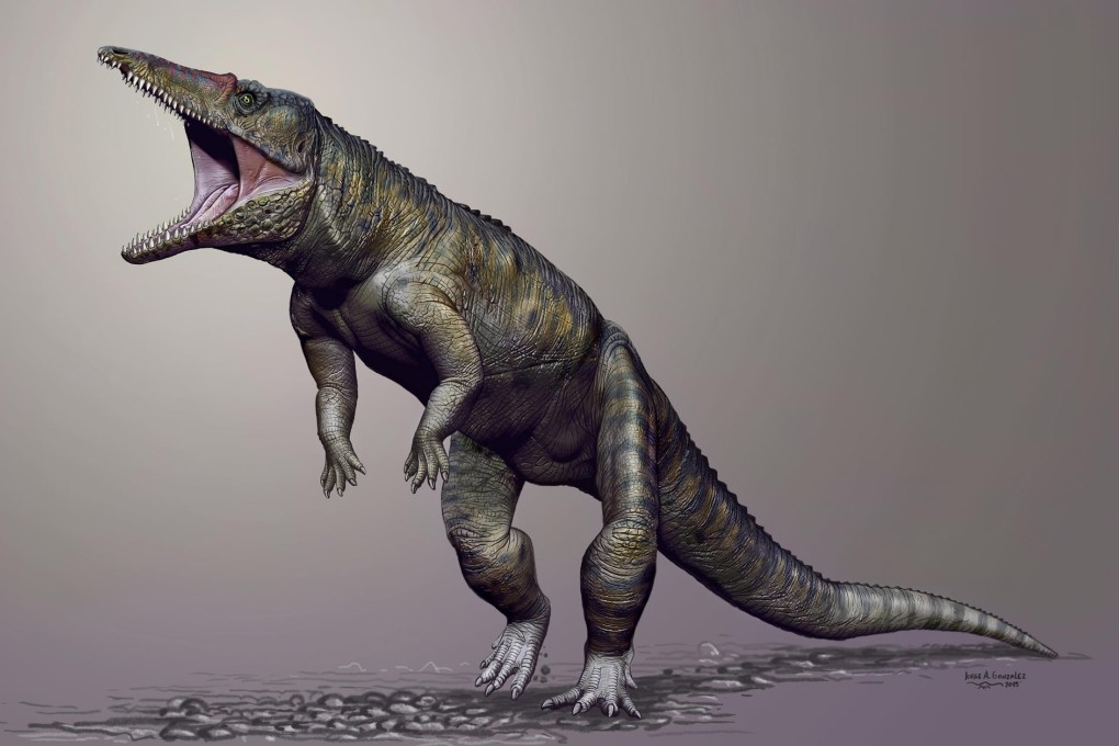 Top predatorCarnufex carolinensis was a creature 3-metres-long, 1.5-metres-tall, had a long skull and blade-like teeth.Photo: SCMP Pictures