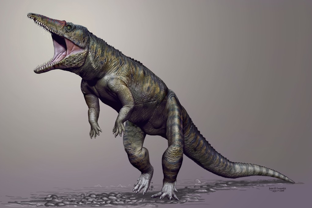 Carnufex carolinensis prowled on two legs in the warm equatorial region that North Carolina was 231 million years ago. Photo: Tribune News Service.