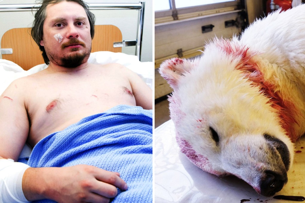 Jakub Moravec recovers from the mauling by the polar bear. Photos: EPA