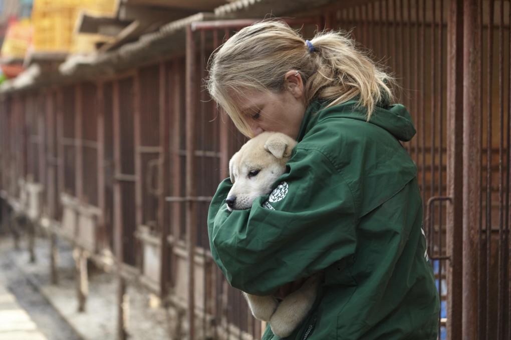 Humane Society activists are targeting dog meat farms in South Korea with the ultimate objective of ending the trade completely. Photo: AP