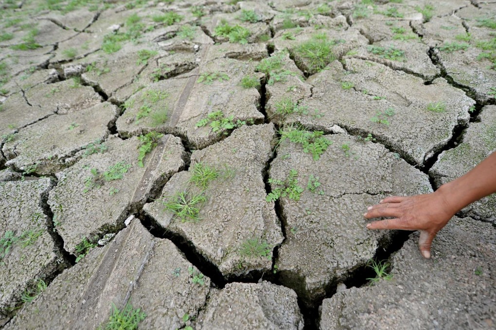 Global climate change will cut crop yields, scientists say. Photo: Xinhua