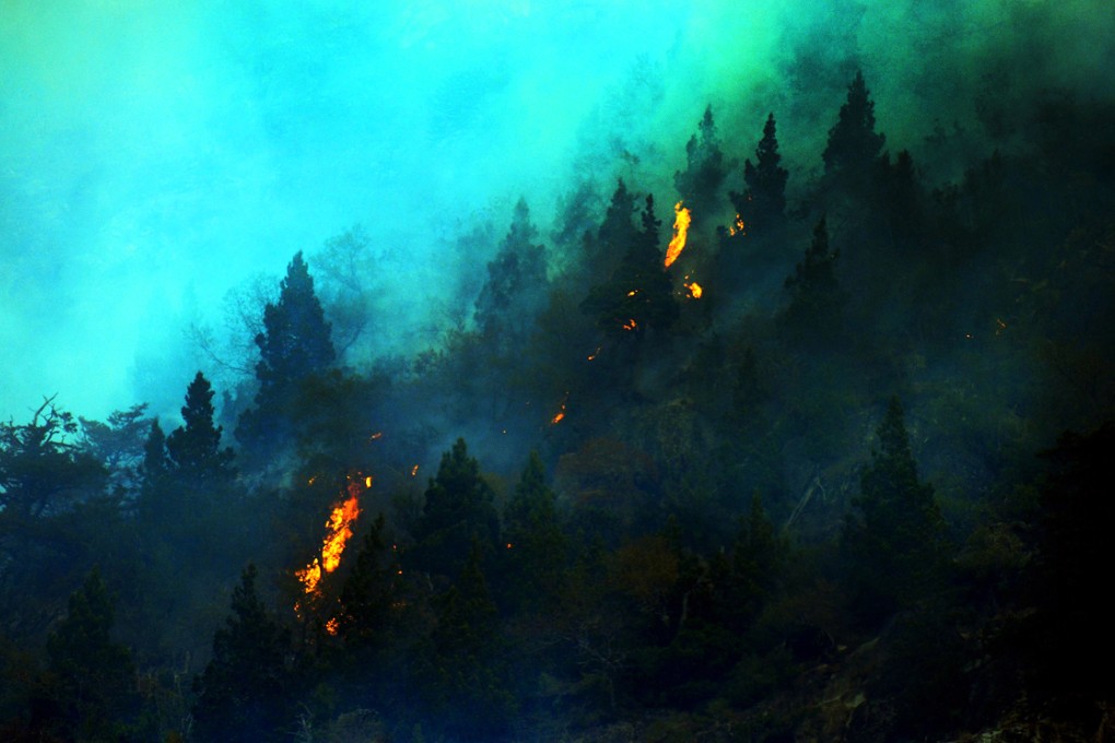 Wildfires hit Chile's Conguillo National Park, which lost 300 hectares to the blaze. Conguillo is an Andes mountain park popular with tourists because of its volcanos and centuries-old monkey puzzle trees. Photo: AFP