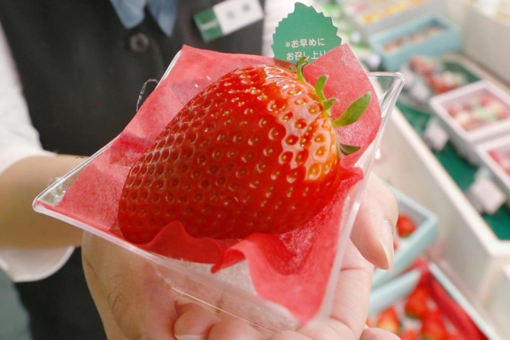 A giant strawberry, called a 'Skyberry', for sale at a fruit shop in Tokyo. Photo: Kyodo