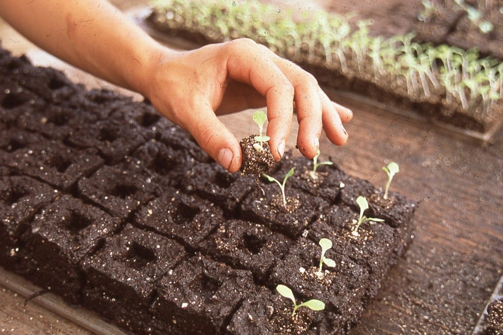 Destroying the soil is going to be the death of us if we're not careful