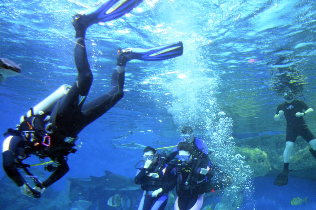 Tourists dive in the aquarium at Haichang Polar Ocean World in Chengdu, Sichuan. Haichang plans to open a polar theme park in Shanghai. Photo: Xinhua